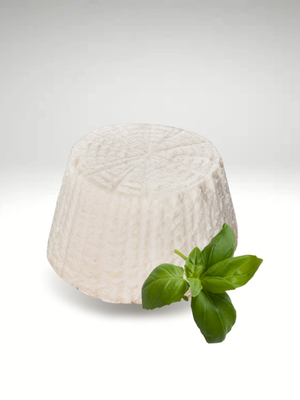 ricotta