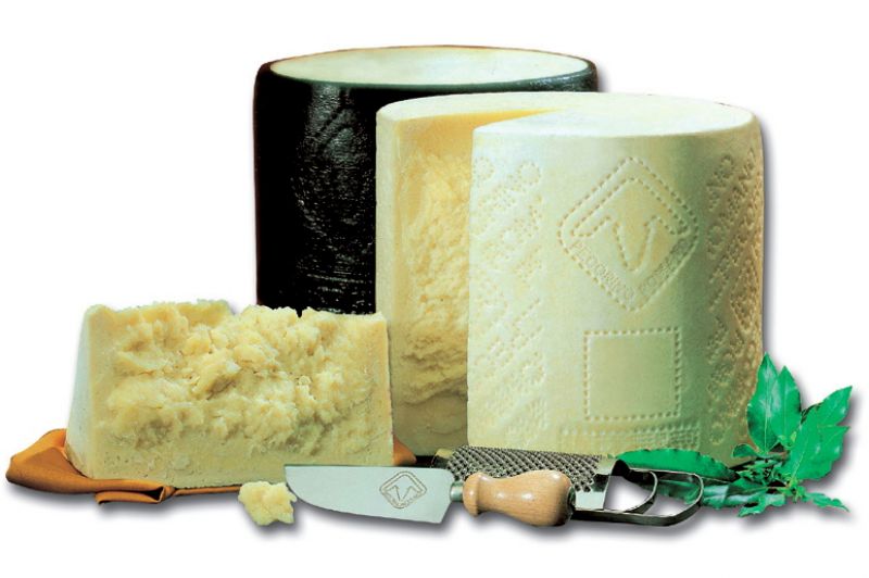 pecorino romano DOP